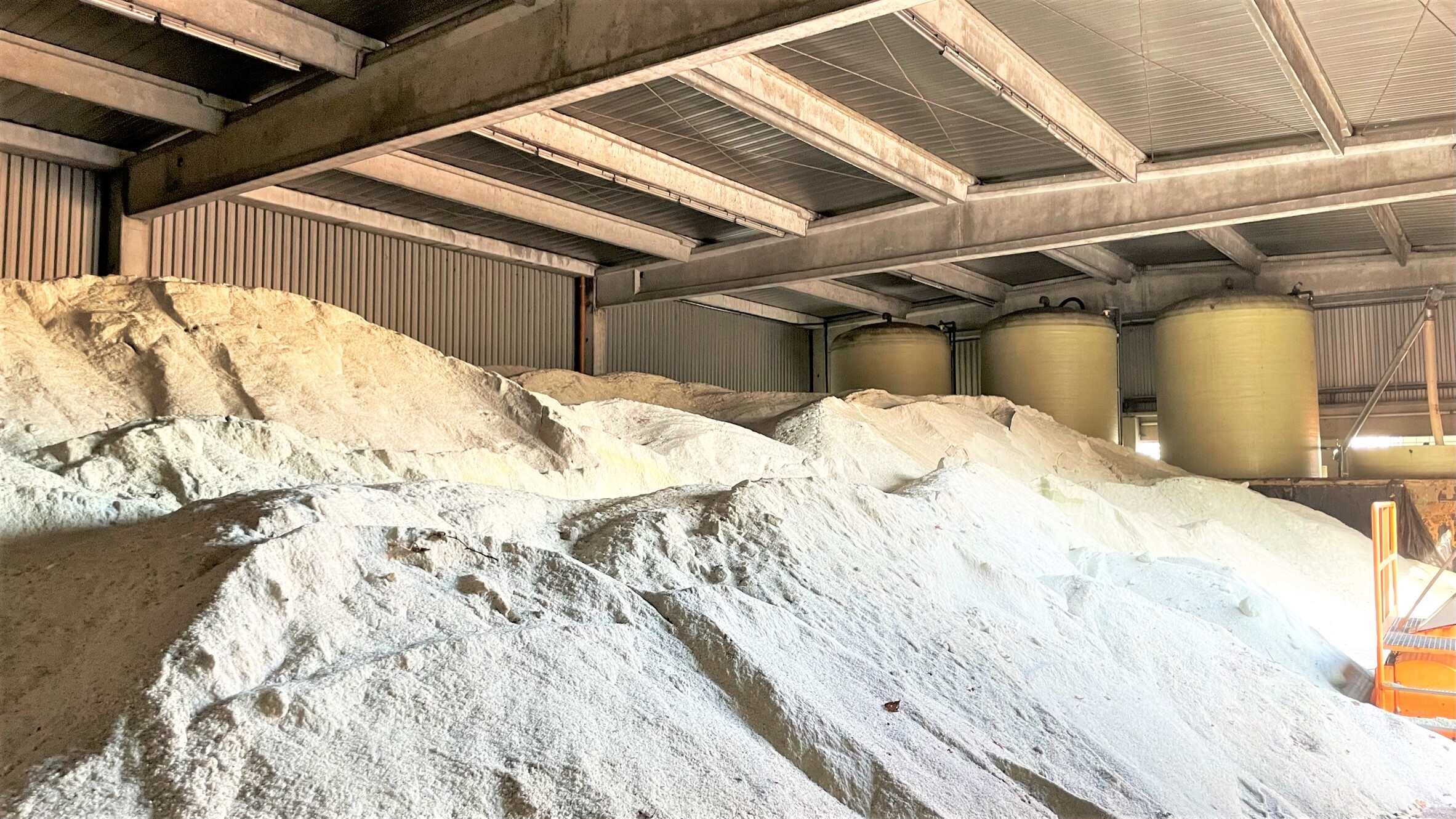 © Foto: dnw/Marco Schenk